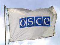 Парламентская ассамблея ОБСЕ согласилась создать международную контактную группу по Украине